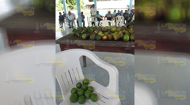 Citricultores de Álamo exigen resultados concretos Citricultores exigen resultados concretos