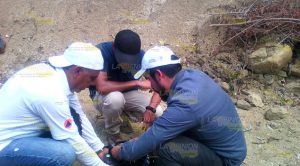 Colocan sismógrafos en comunidades de Benito Juárez, Veracruz Colocan Sismógrafos Comunidades Benito Juárez Veracruz