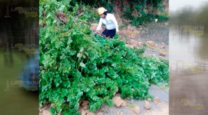 Damnificados están siendo atendidos por autoridad local Damnificados están siendo atendidos por autoridad local