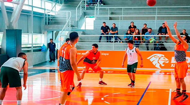 Leones van de caza