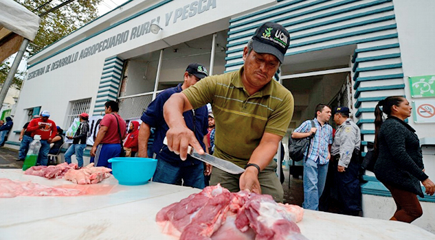 Protestan con matanza de cochino afuera de la Sedarpa
