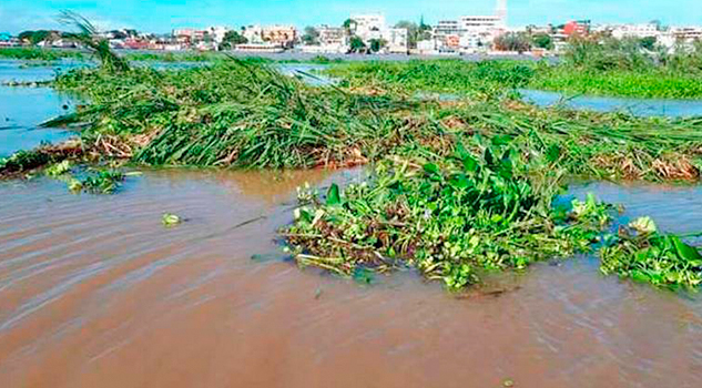 Suspenden ferry de Coatzacoalcos
