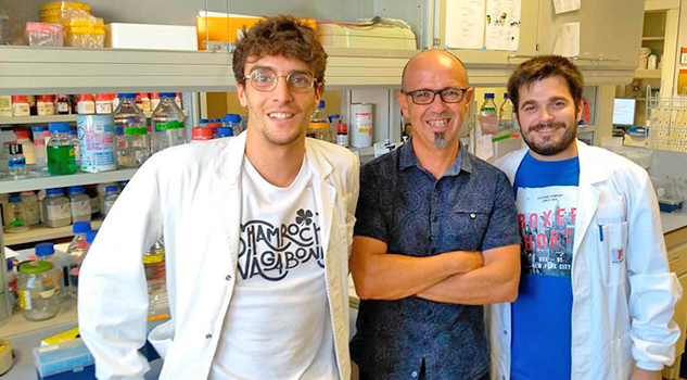 Investigadores españoles descubren una molécula que detiene y revierte el párkinson