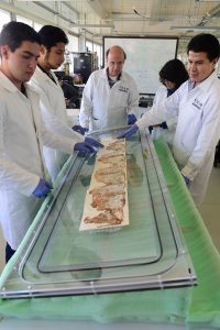 Expertos realizan capsula para preservar códice maya
