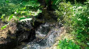 Fuga de hidrocarburo en Tihuatlán Fuga Hidrocarburo Tihuatlán