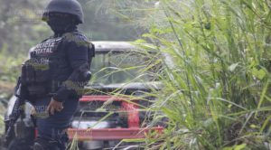 Miniauto, consumido por el fuego esta madrugada; en Poza Rica.