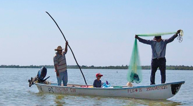 El calentamiento global dejaría pocos peces en el mundo