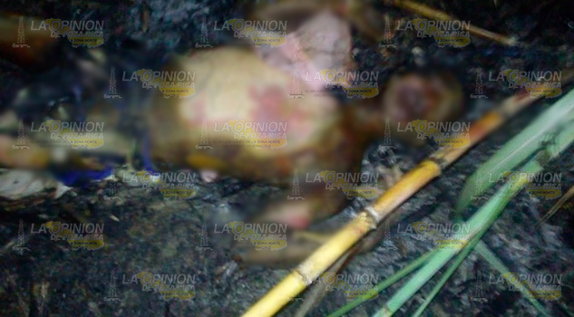 ¡MUERE CALCINADO EN SU PARCELA! Agricultor muere calcinado en Tumbadero del Escobal