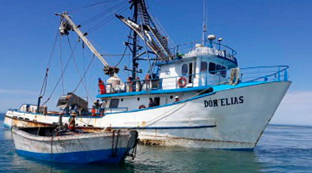 PROFEPA multa a barco sardinero por pesca ilegal en área protegida PROFEPA multa a barco sardinero por pesca ilegal en área protegida