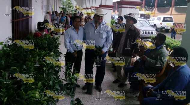 Productores de limón y naranja reciben plantas certificadas