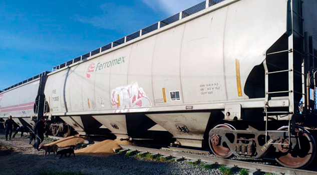 Rapiña a tren en Puebla, saquean furgones cargados con trigo Rapiña Tren Puebla Saquean Furgones Cargados Trigo
