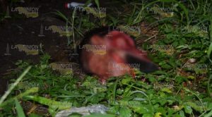 Ya saben identidad del decapitado