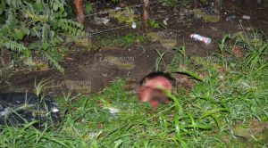 Tiran cabeza humana en la colonia H. Colegio Militar de Tlapacoyan Tiran Cabeza Humana Banqueta Tlapacoyan