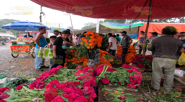 Respaldo a la economía local, con tianguis de temporada en Álamo