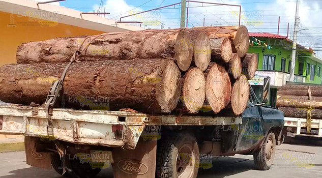 Detienen carga de madera ilegal