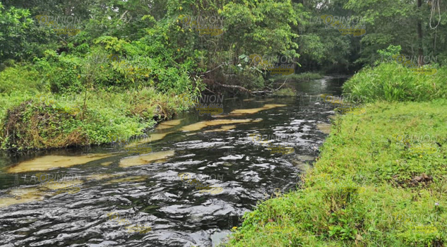 Persisten daños por el derrame
