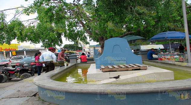 Retiran peces y tortugas del Parque Benito Juárez en Álamo