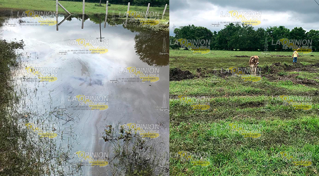 Pemex la vuelve a regar