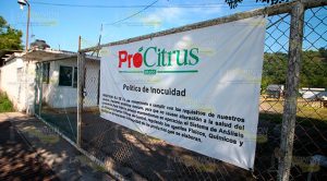 Arde pastizal en Procitrus ubicada en la carretera Poza Rica - Cazones Arde pastizal en Procitrus ubicada en la carretera Poza Rica - Cazones