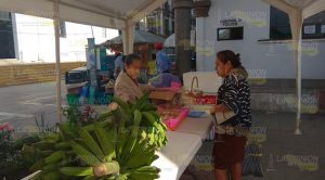 Dan espacios a expositores locales en Tuxpan Dan espacios a expositores locales en Tuxpan