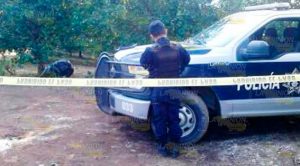 Ejecutan a taxista de Tlapacoyan en Martínez de la Torre Ejecutan a taxista de Tlapacoyan en Martínez de la Torre