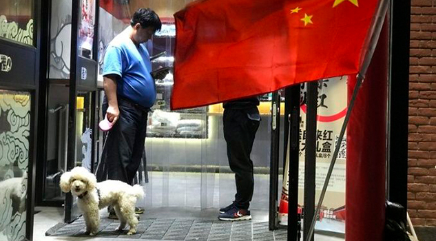 Ciudad china limita presencia de perros en espacios públicos