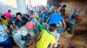 Rapiña voráz tras volcadura de tráiler Rapiña Voráz Tras Vulcadura Tráiler