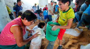Rapiña voráz tras volcadura de tráiler Rapiña Voráz Tras Vulcadura Tráiler