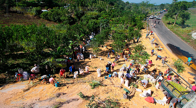 Rapiña voráz tras volcadura de tráiler Rapiña Voráz Tras Vulcadura Tráiler