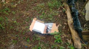 Roban en las instalaciones de la Dirección General de Educación Tecnológica Agropecuaria Roban en las instalaciones de la Dirección General de Educación Tecnológica Agropecuaria