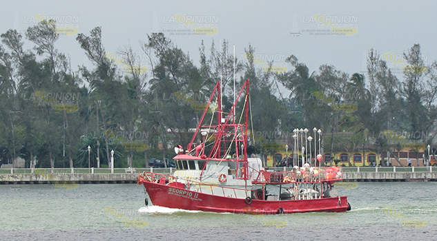 Se reactiva pesca en todo el litoral, el buen tiempo prevalecerá hasta el próximo lunes