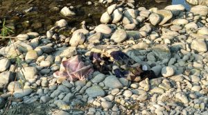 Flotaba en el río Cazones de Poza Rica