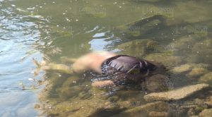 Flotaba en el río Cazones de Poza Rica