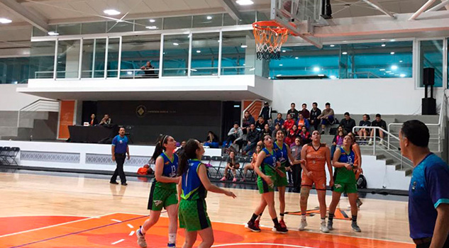 Halcones UV por el título del basquetbol femenil Halcones UV por el título del basquetbol femenil