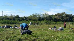 Invaden predios en Tlahuanapa