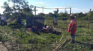 Invaden predios en Tlahuanapa