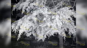 Nevó en municipios de la sierra de Misantla – Perote y Xalapa