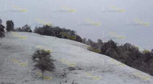 Nevó en municipios de la sierra de Misantla – Perote y Xalapa