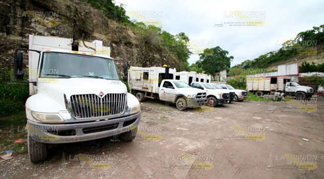 Ninín generó 25 por ciento más basura, en su mayoría plásticos y flores