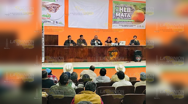 Paran entrega de los insumos, debido a protección fitosanitaria