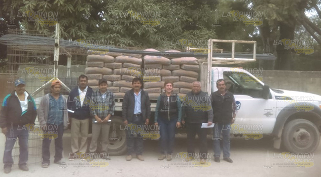 Consiguen apoyos para rehabilitar loza de primaria en Álamo Consiguen apoyos para rehabilitar loza de primaria en Álamo