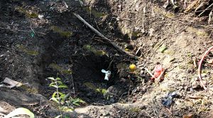 Federales aseguran toma clandestina en Tihuatlán Federales aseguran toma clandestina en Tihuatlán