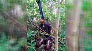 Lo hallan colgado y pútrido en Tuxpan