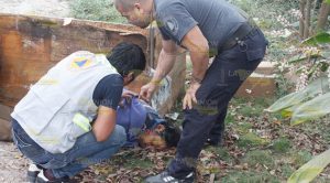 Lo hallan tirado en un patio expulsando espuma de la boca Lo hallan tirado en un patio expulsando espuma en la boca