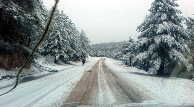 Entra la cuarta tormenta invernal a México, nevará en estos estados