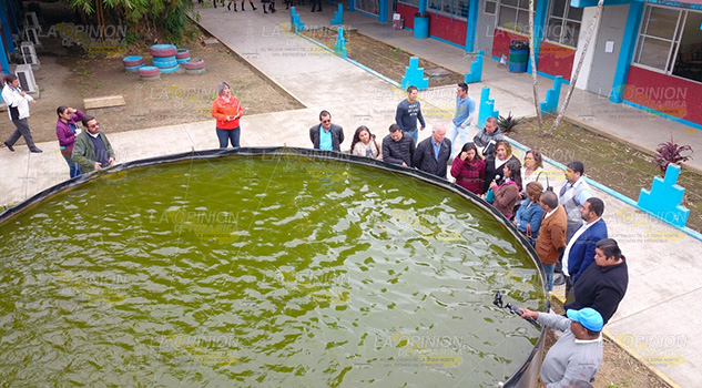 Retiran fauna marina del parque "Juárez" en Álamo Retiran fauna marina del parque "Juárez" en Tuxpan
