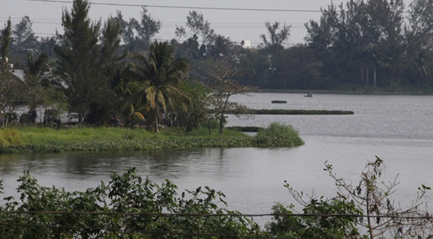 Se necesitan 100 mdp para "rescatar" laguna Olmeca de Veracruz Se necesitan 100 mdp para 'rescatar' laguna Olmeca de Veracruz