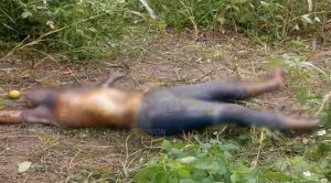 Hallan muerta a jovencita en Álamo