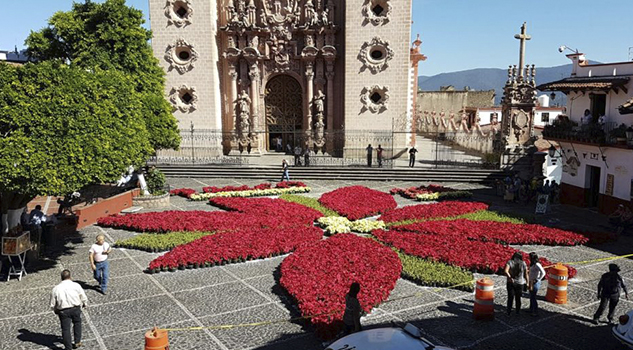 Taxco inaugura nochebuena monumental más grande del mundo