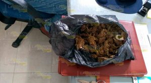 4 detenidos con droga en Tuxpan